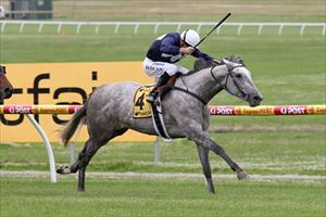 Frenetica fires at Sandown